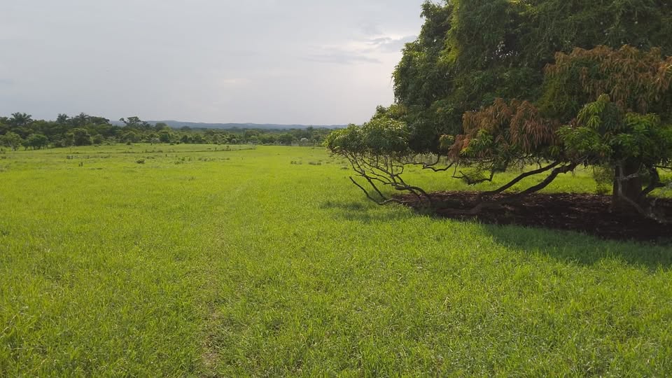 90 Acres Farm Land For Sale